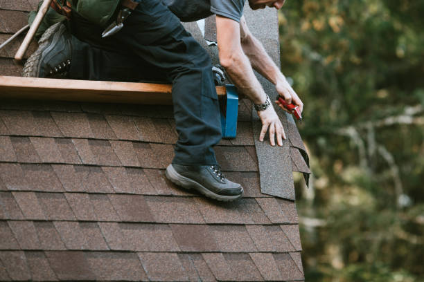 Best Roof Gutter Cleaning  in Pleasantville, NY